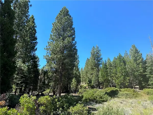 1 Canyon Creek Rd, California Pines, CA 96101