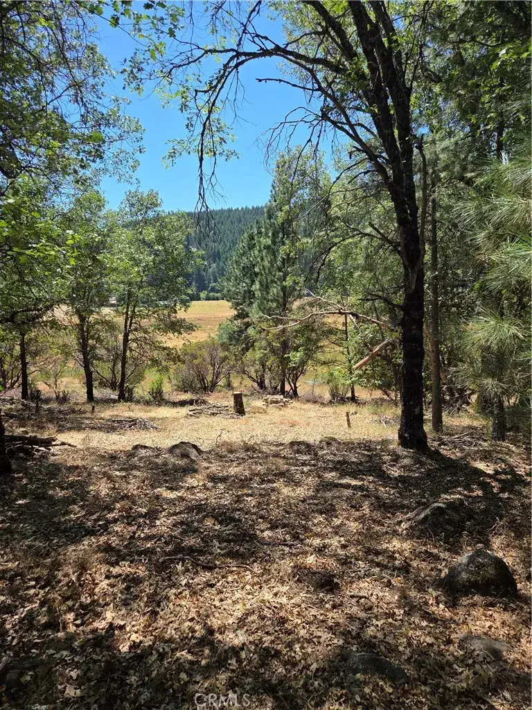 9655 Mountain Meadow, Kelseyville, CA 95451 - #1
