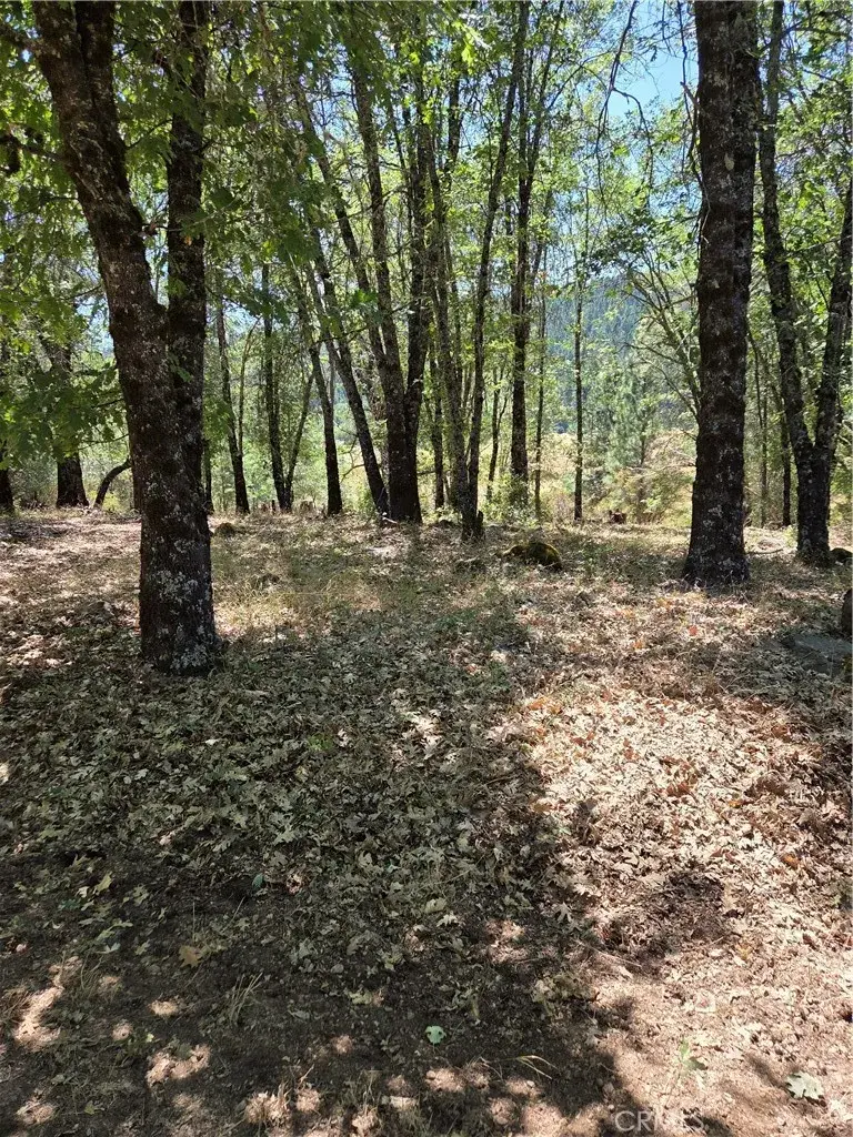 9655 Mountain Meadow, Kelseyville, CA 95451 - #2