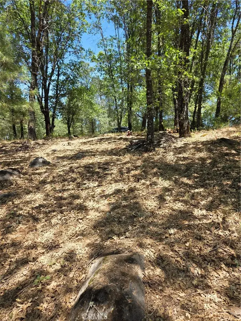 9655 Mountain Meadow, Kelseyville, CA 95451 - #3