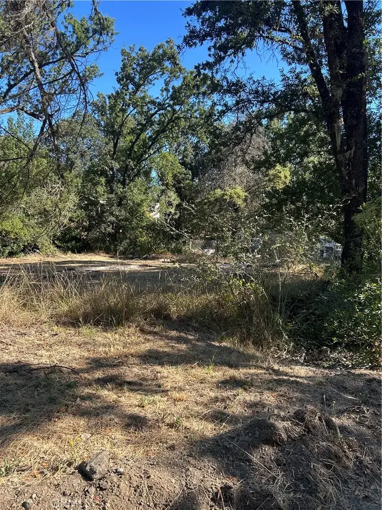 15394 Mckell, Middletown, CA 95461 - #2