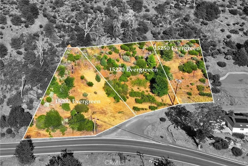 15250 Evergreen, Cobb, CA 95426 - #1
