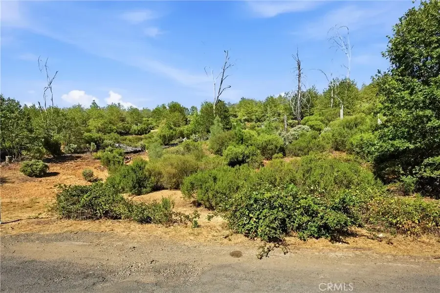 15250 Evergreen, Cobb, CA 95426 - #3