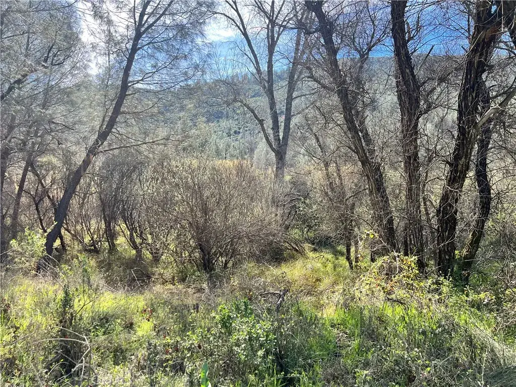 2286 New Long Valley, Clearlake Oaks, CA 95423 - #1