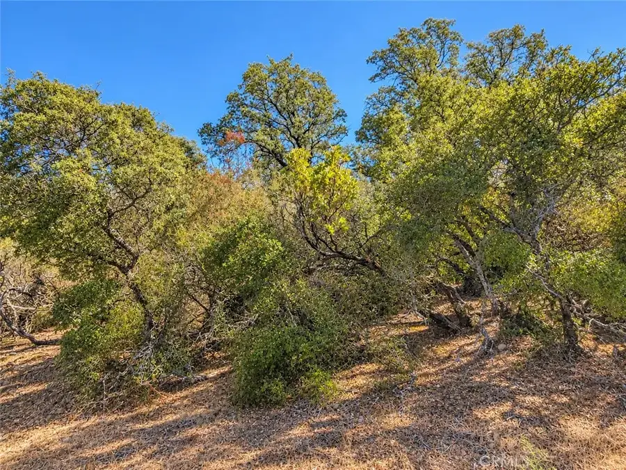 9951 Palmer, Cobb, CA 95451 - #2
