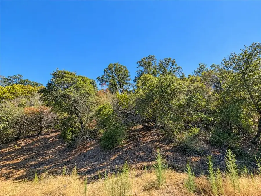 9951 Palmer, Cobb, CA 95451 - #3