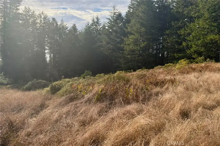 449 Drovers, Sea Ranch, CA 95497 - #2