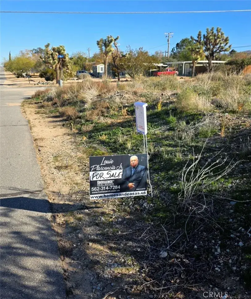 55685 Navajo Trail, Yucca Valley, CA 92284 - #3