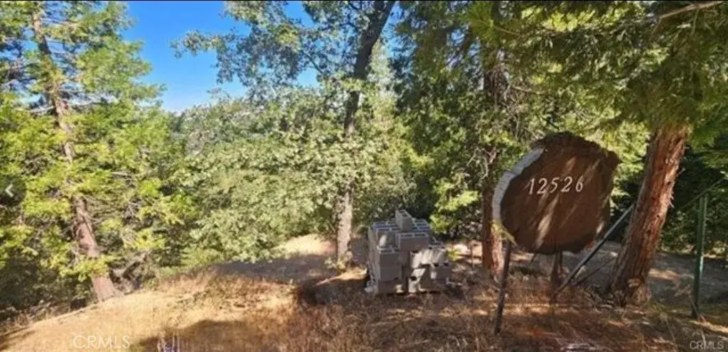 25126 Jewel, Crestline, CA 92325 - #1