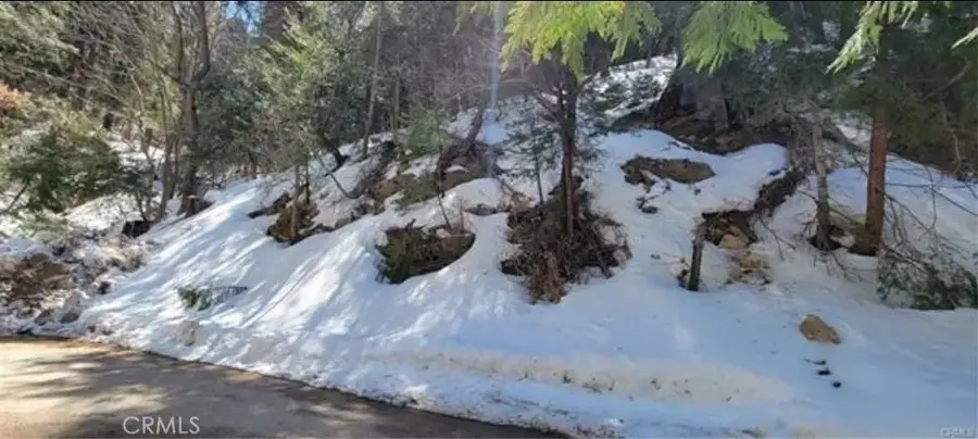 731 Jewel, Crestline, CA 92325 - #3