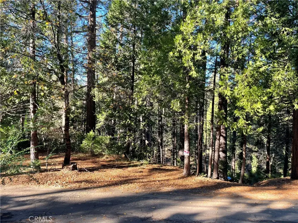 22447 Ponderosa, Twain Harte, CA 95383 - Image #1