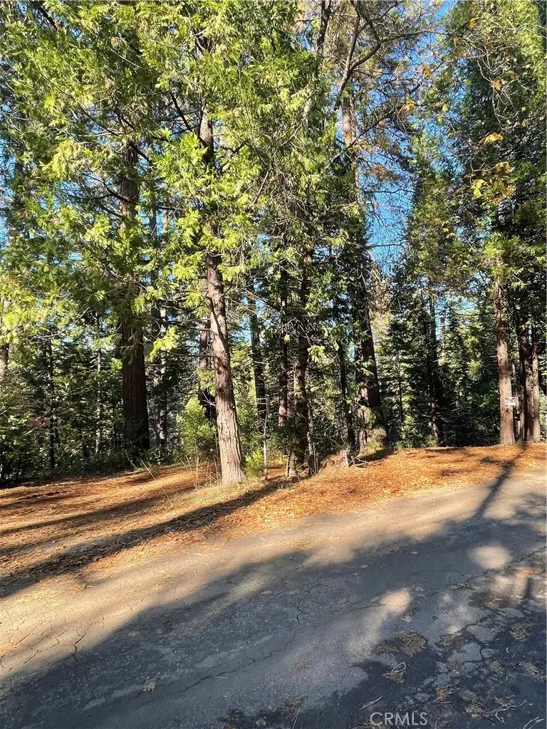 22447 Ponderosa, Twain Harte, CA 95383 - Image #3