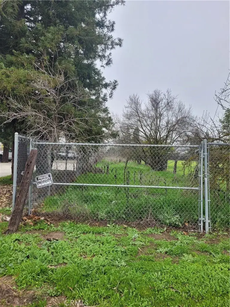 0 Mc Dowell, Le Grand, CA 95333 - Image #2