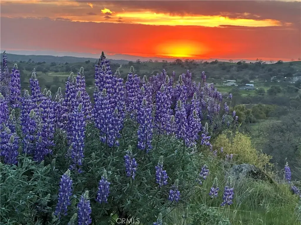 0 Spinecup Ridge, Raymond, CA 93653 - #1