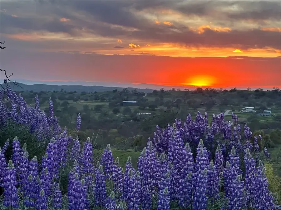 0 Spinecup Ridge, Raymond, CA 93653 - #2