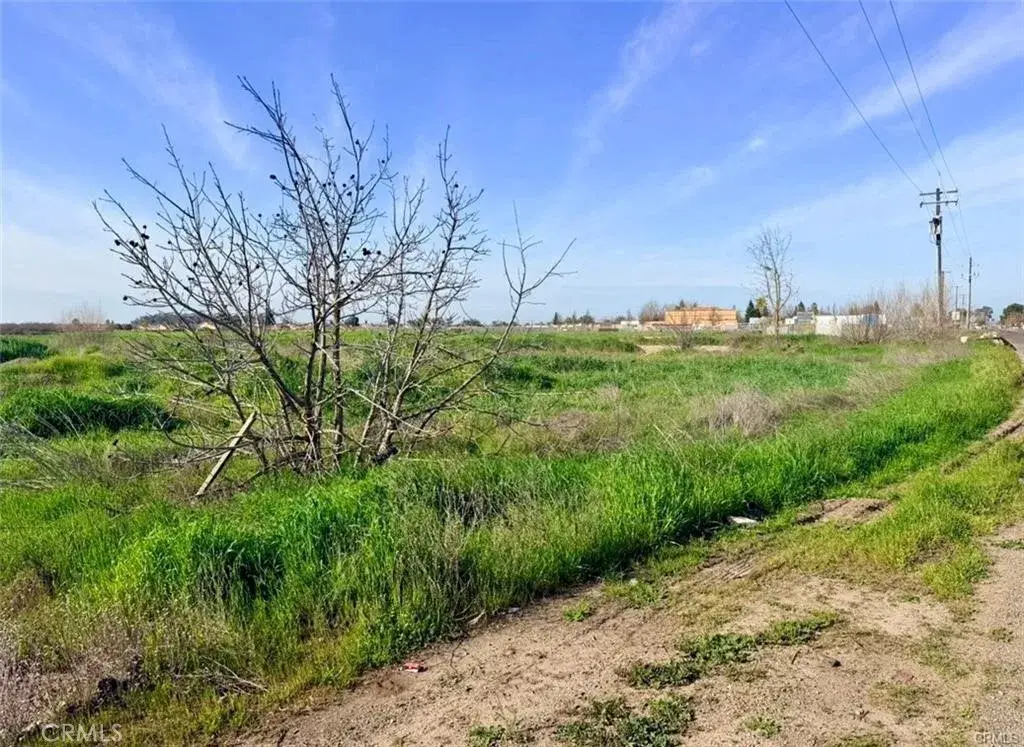 8 Gerard, Le Grand, CA 95333 - #1