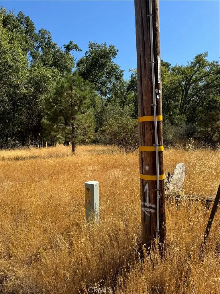 5718 E Whitlock, Mariposa, CA 95338 - #3