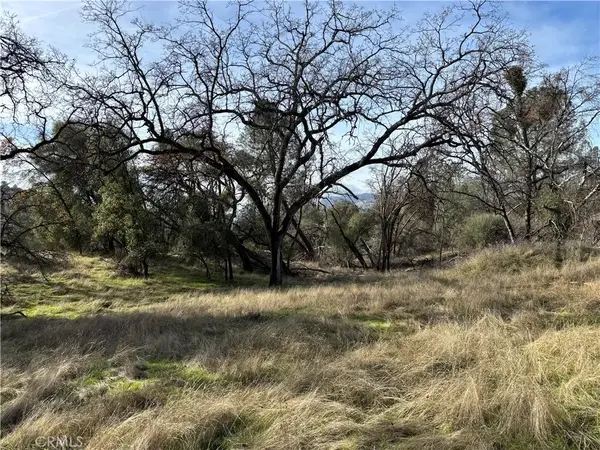 0 Daffodil, Mariposa, CA 95338