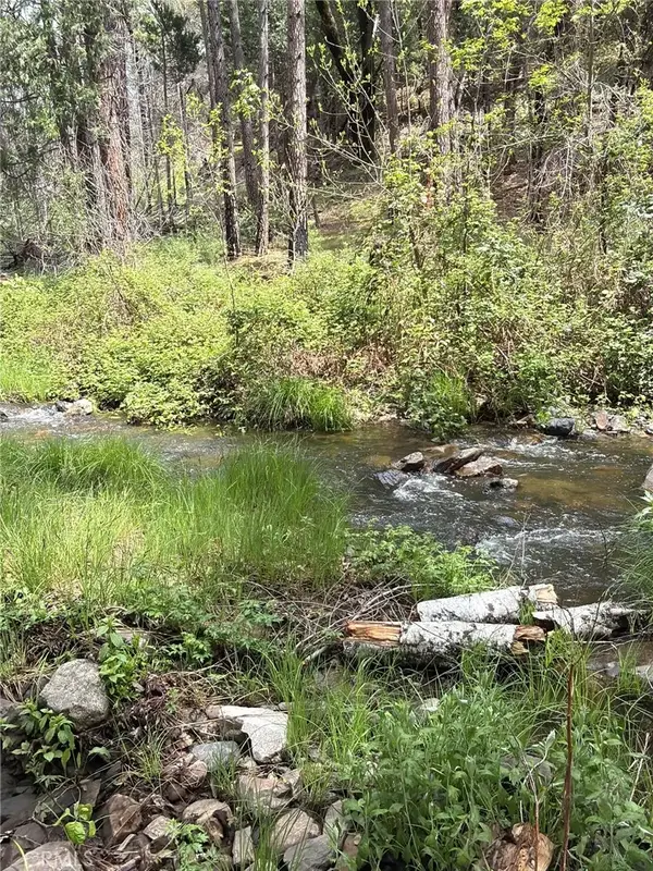 39 Anderson Valley, Coulterville, CA 95311