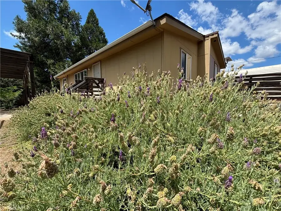 5151 Jones Street, Mariposa, CA 95338 - #3