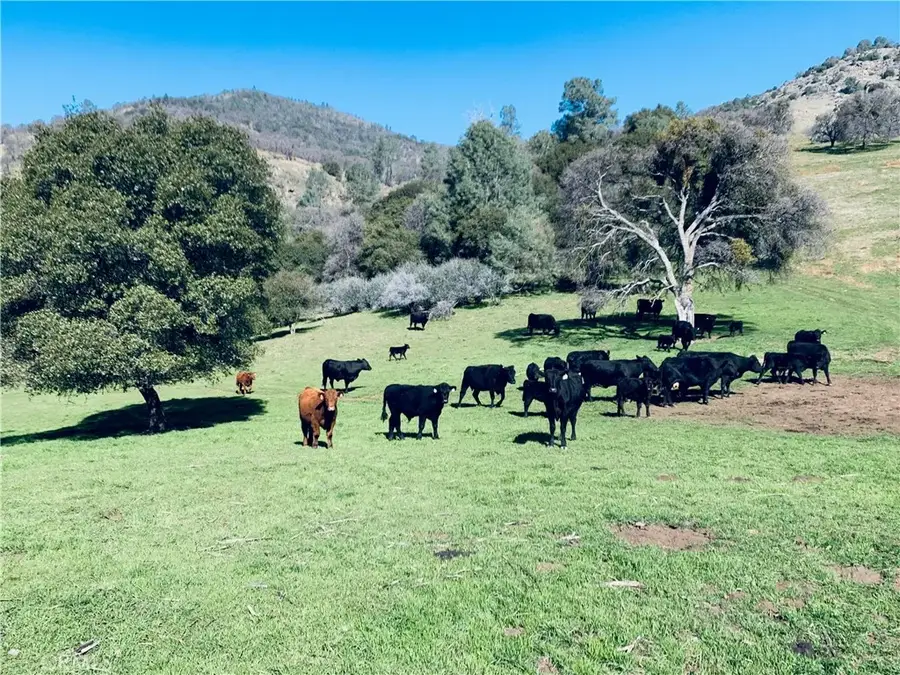 1532 Cya, Mariposa, CA 95338 - #2