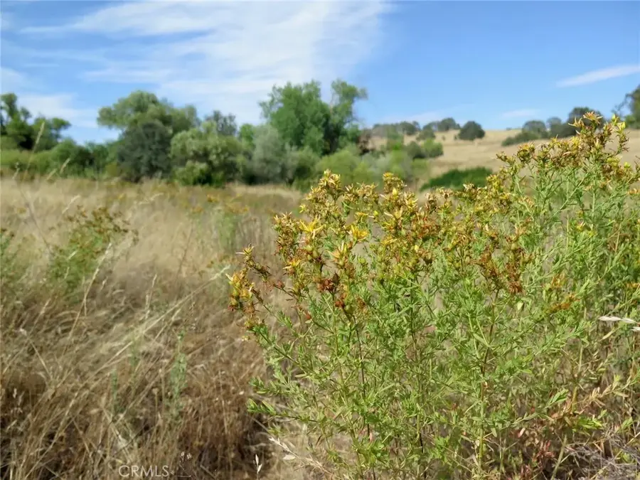 2628 Ranchito, La Grange, CA 95329 - #3