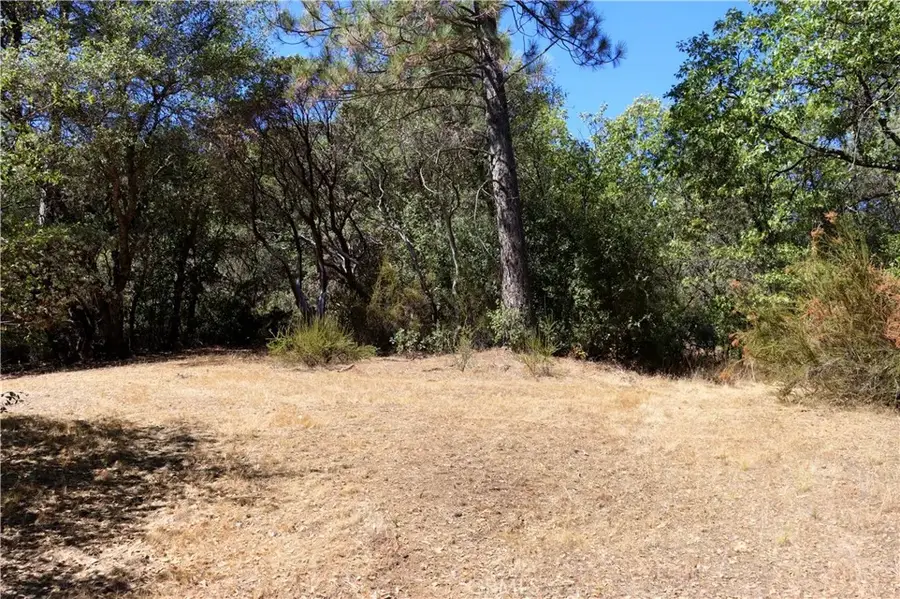 163 Oak, Midpines, CA 95345 - #2