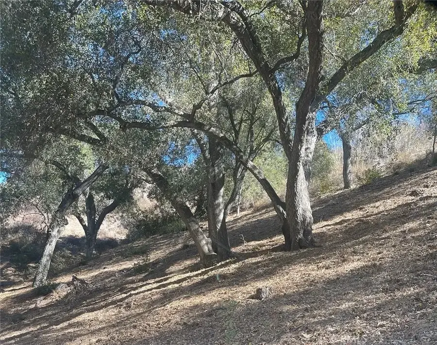 #3