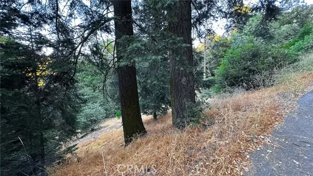#2