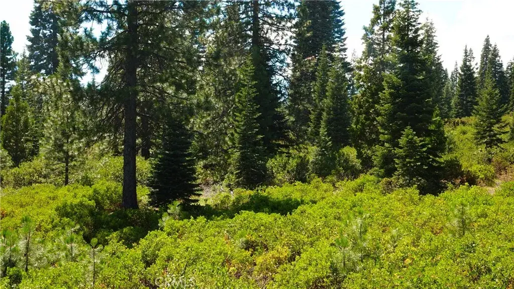 0 Echo, McCloud, CA 96057 - Image #1