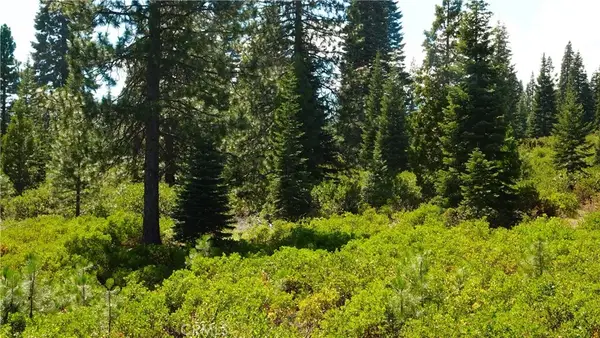 0 Echo, Mccloud, CA 96057