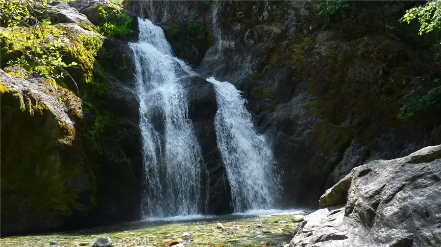 0 Echo, McCloud, CA 96057 - Image #2