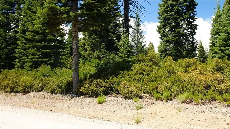 0 Echo, McCloud, CA 96057 - Image #3