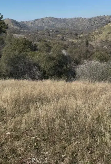 0 Chuckwagon, Squaw Valley, CA 93675