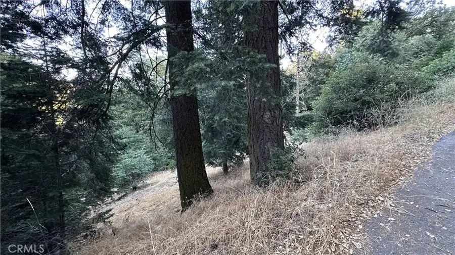 0 Fir, Cedarpines Park, CA 92322 - #2