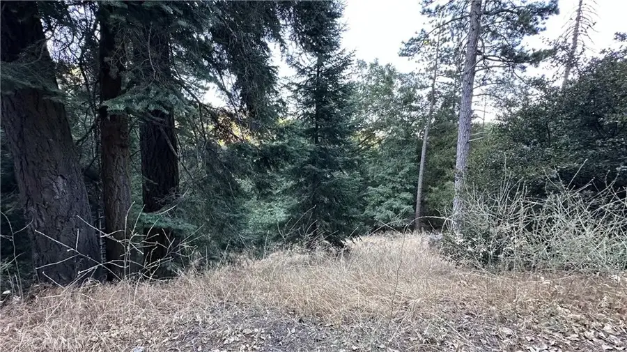 0 Fir, Cedarpines Park, CA 92322 - #3