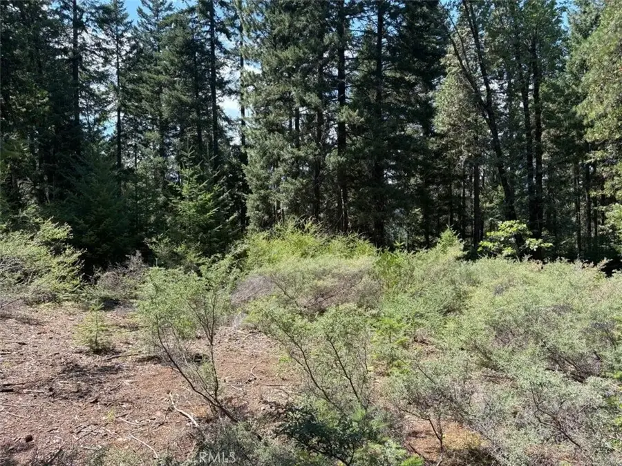 9936 Fobes, Morongo Valley, CA 92256 - #2