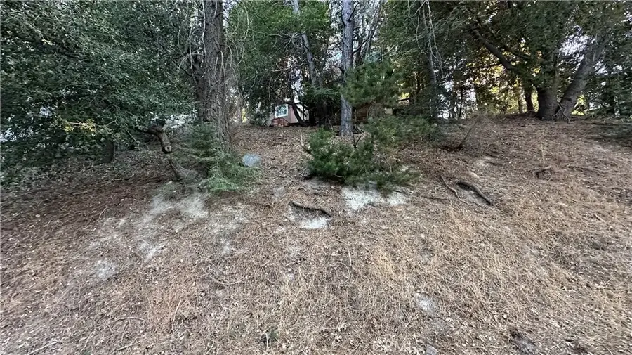 0 Mid, Twin Peaks, CA 92391 - #2