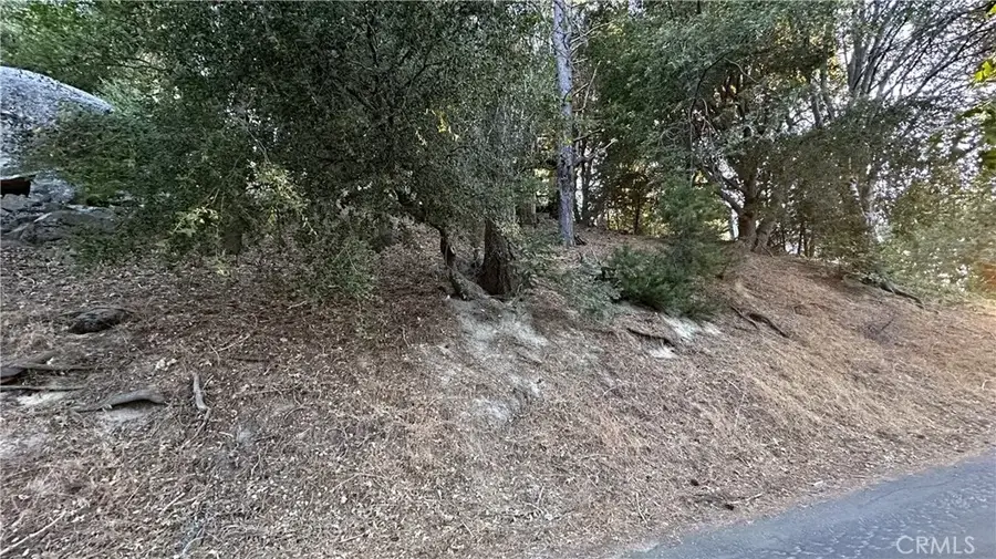 0 Mid, Twin Peaks, CA 92391 - #3