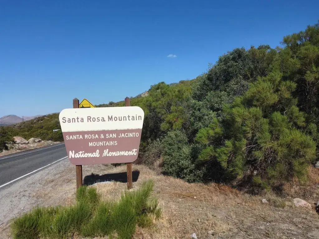 636 Mountain Center, Mountain Center, CA 92561 - #1