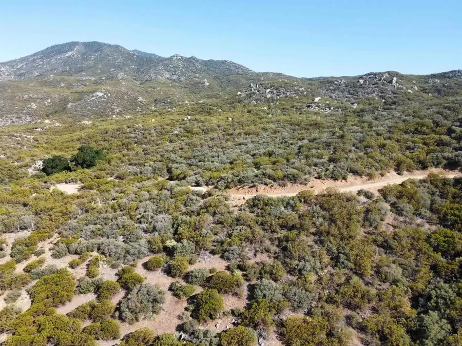 636 Mountain Center, Mountain Center, CA 92561 - #3