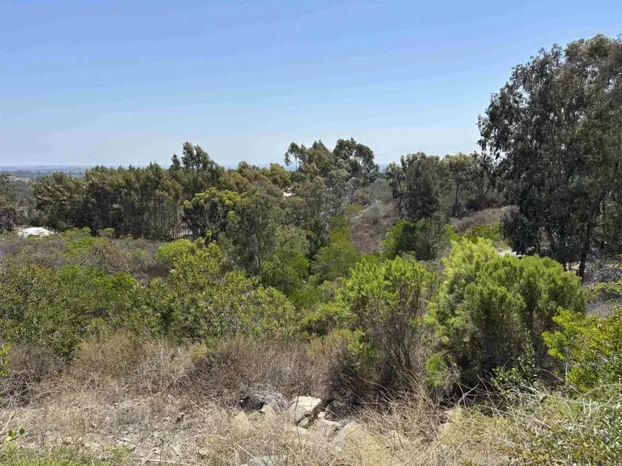 0 Lone Hill, Encinitas, CA 92024 - #3