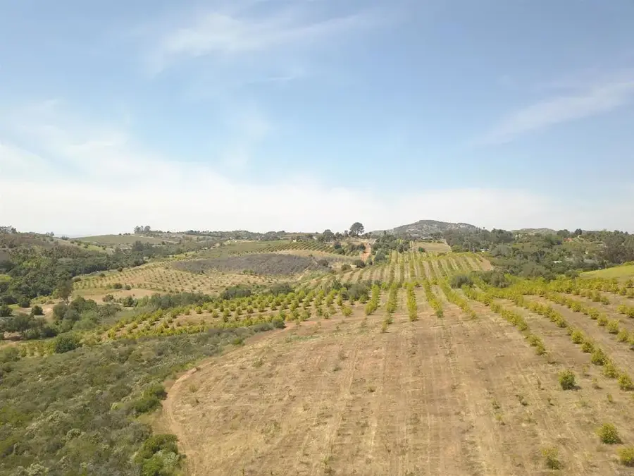 9153 W Lilac, Escondido, CA 92026 - Image #3