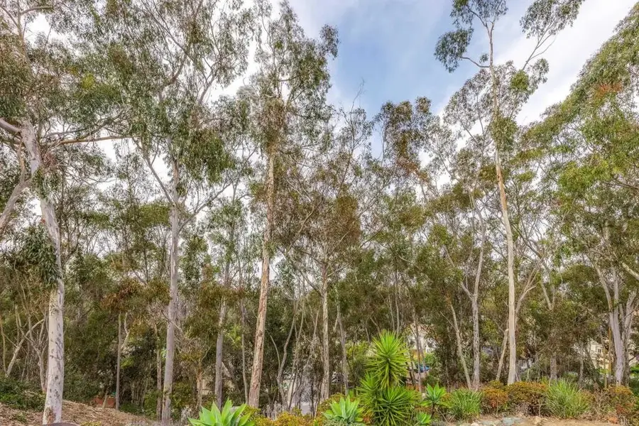 2062 Avenue Of The Trees, Carlsbad, CA 92008 - Image #2