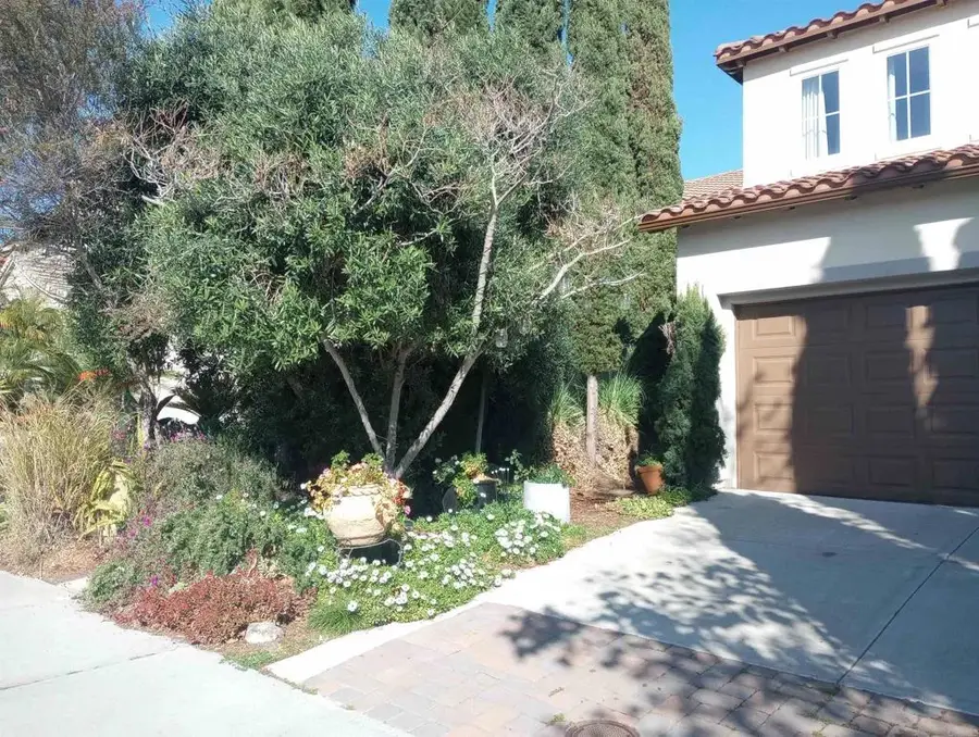 5544 Mill Creek Road, San Diego, CA 92130 - #2