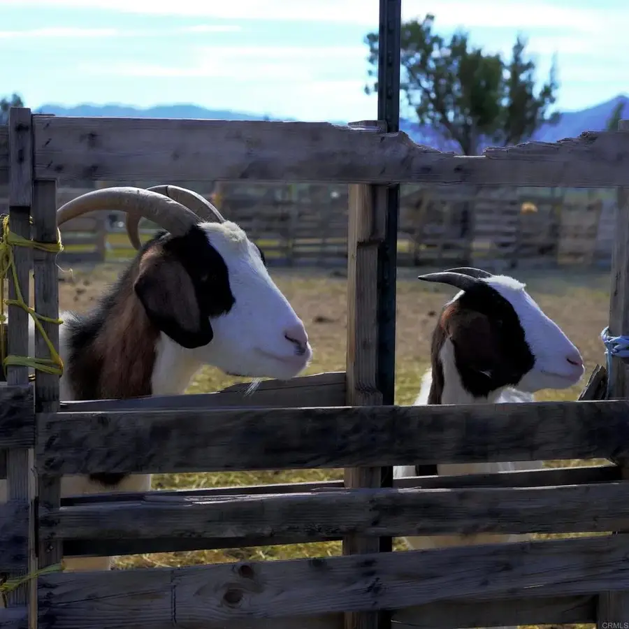 41945 Apple Road, Anza, CA 92539 - Image #3