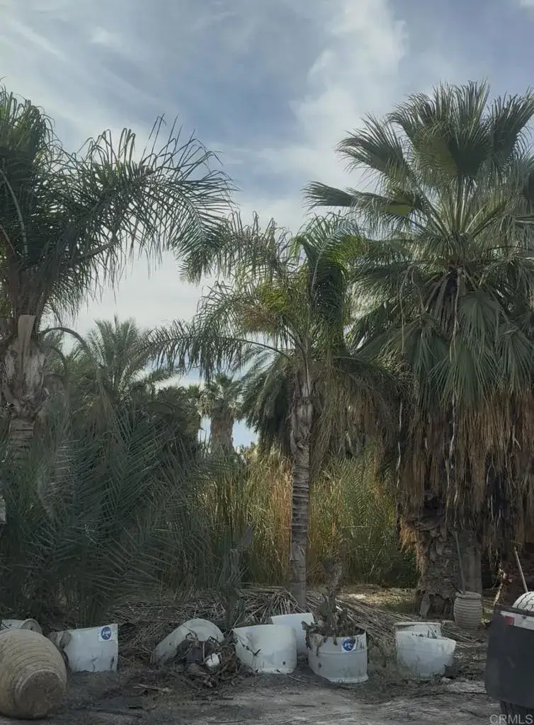 2310 W Highway 86 Road, Brawley, CA 92227 - #3