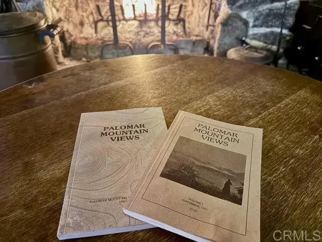 22298 Crestline Road, Palomar Mountain, CA 92060 - #3