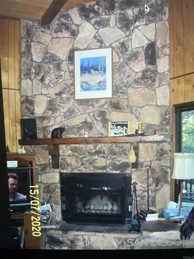 41620 Thrush, Big Bear Lake, CA 92315 - #3