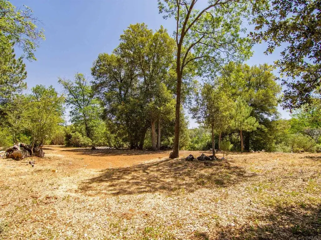 7 West Incense Cedar, Julian, CA 92036 - #1